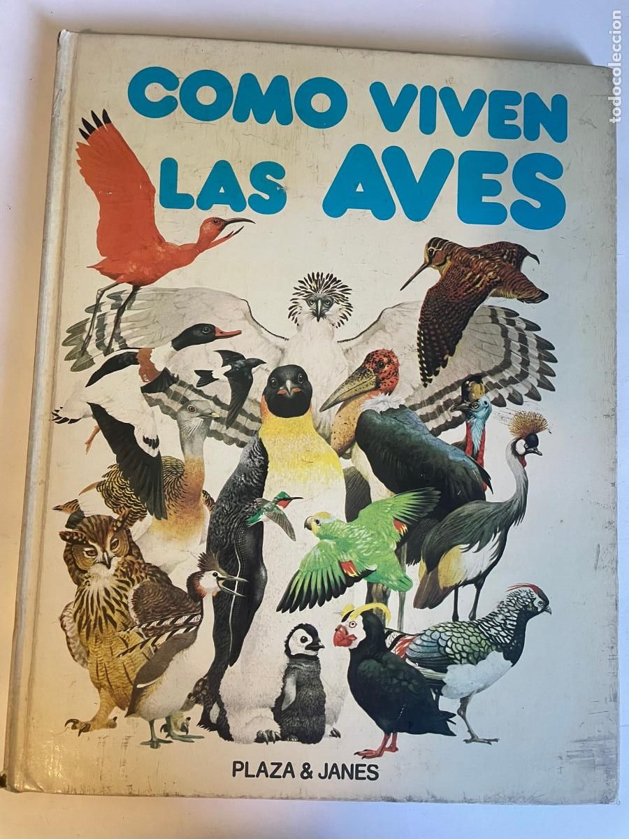 Libros de segunda mano: VVAA Como viven las aves SA10981 - Foto 1