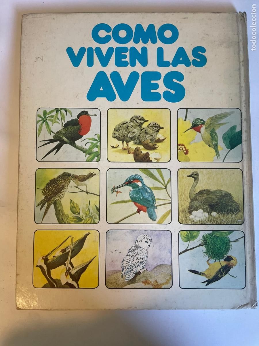Libros de segunda mano: VVAA Como viven las aves SA10981 - Foto 2