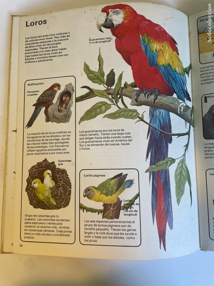 Libros de segunda mano: VVAA Como viven las aves SA10981 - Foto 3