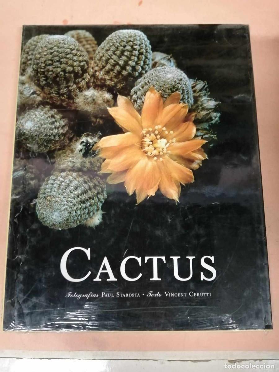 Libros de segunda mano: CACTUS (VINCENT CERRUTTI - PAUL STAROSTA) - Foto 1