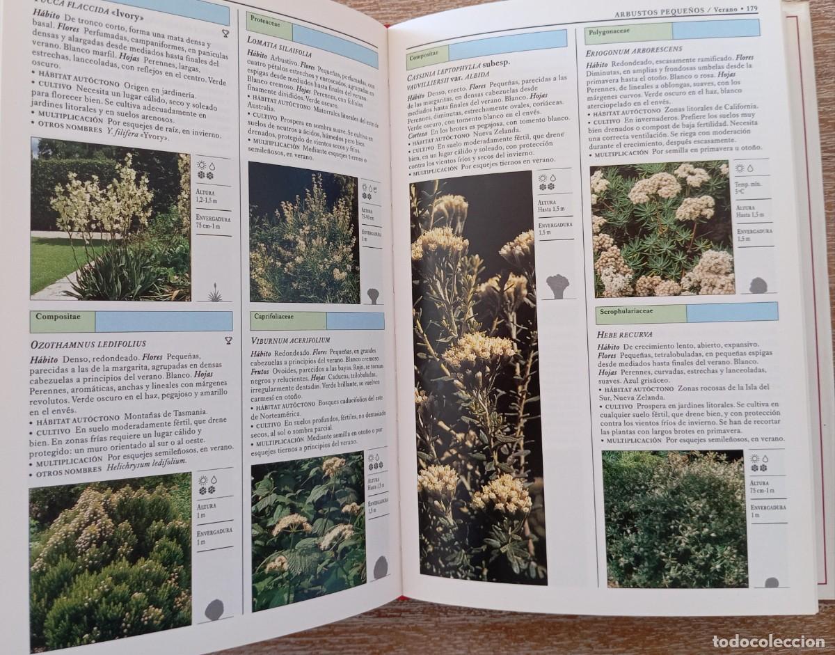 Libros de segunda mano: ARBUSTOS Y TREPADORAS - MANUAL BLUME - Foto 2