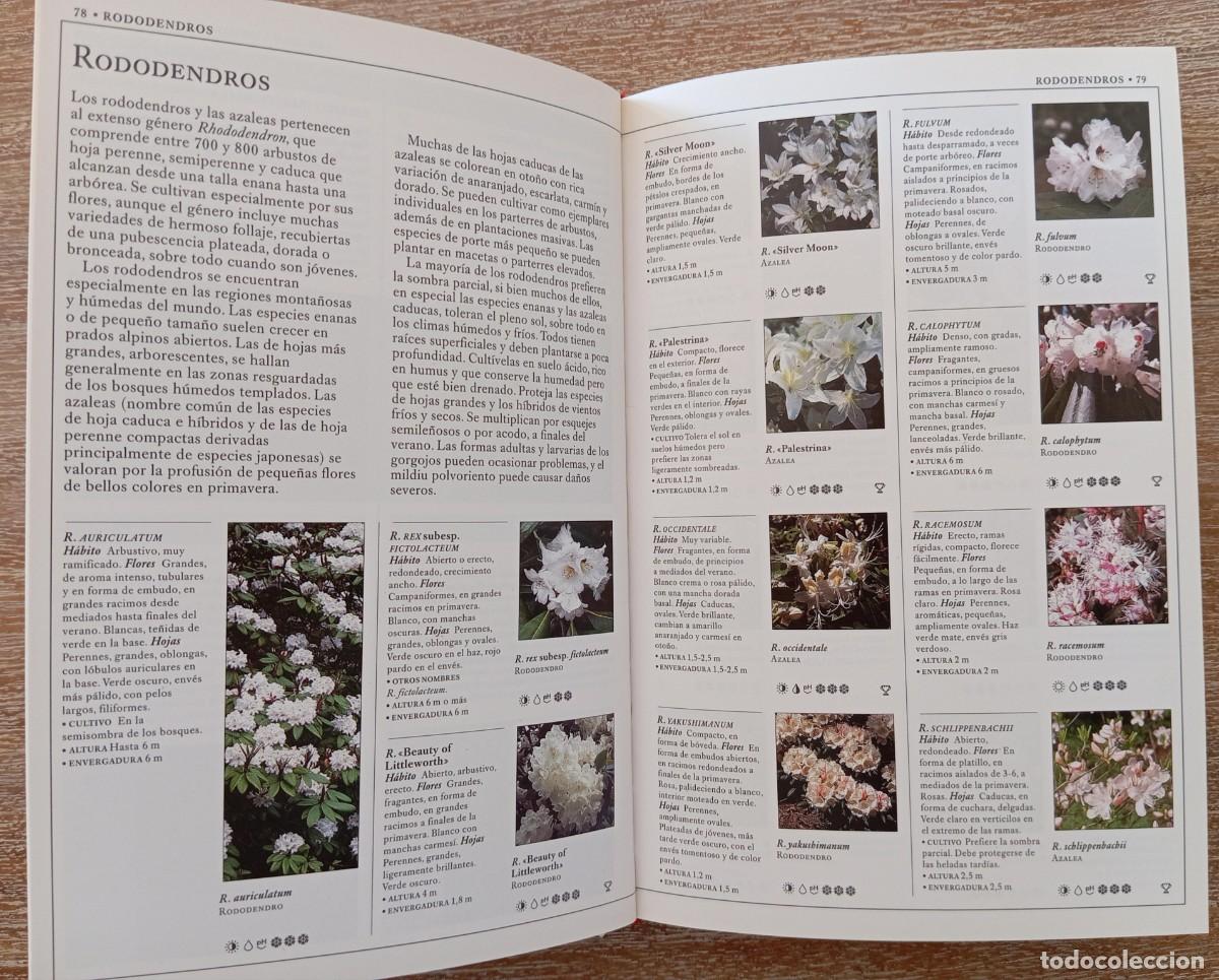 Libros de segunda mano: ARBUSTOS Y TREPADORAS - MANUAL BLUME - Foto 3