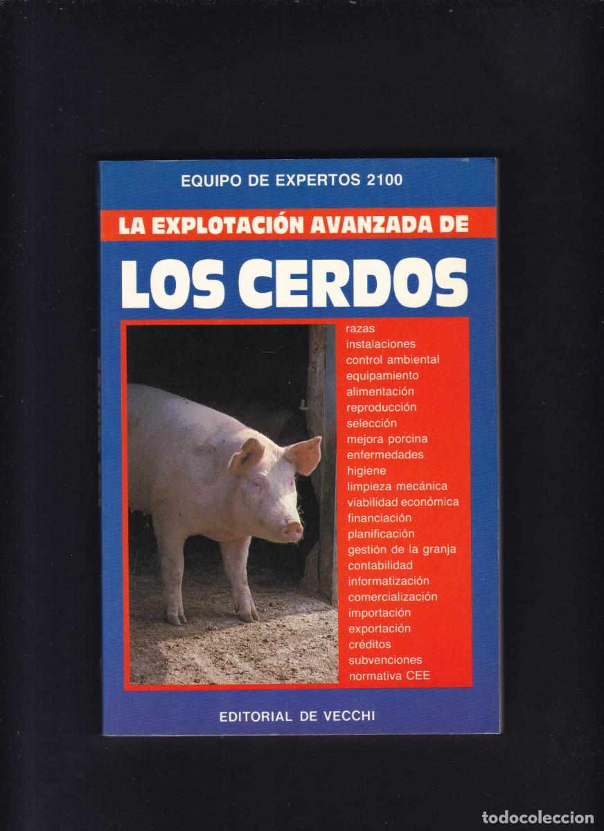 Libros de segunda mano: LOS CERDOS - EXPLOTACI&Oacute;N AVANZADA - EDITORIAL DE VECCHI 1992 / ILUSTRADO - Foto 1