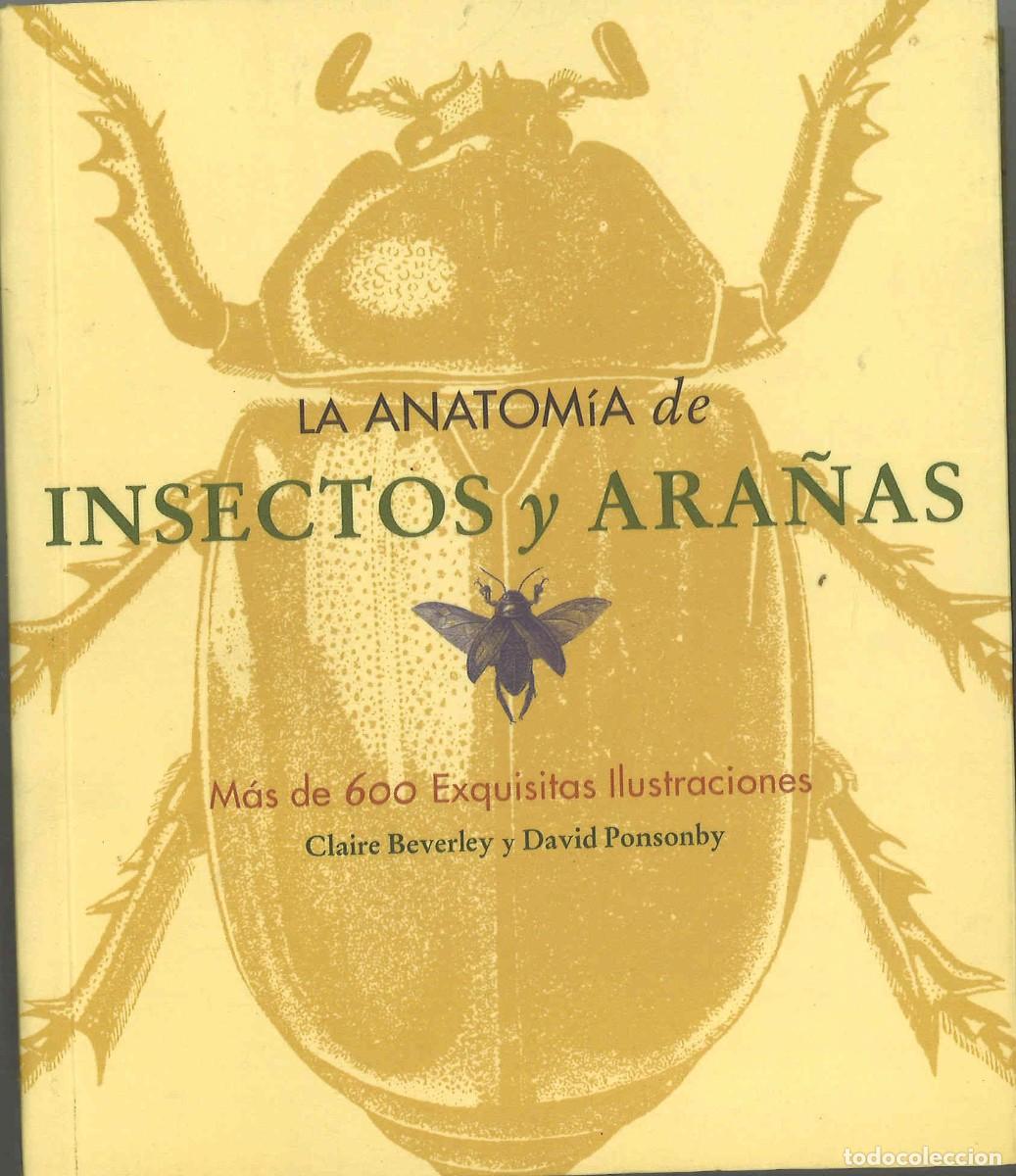 Libros de segunda mano: La anatom&iacute;a de insectos y ara&ntilde;as. 2003 - Foto 1