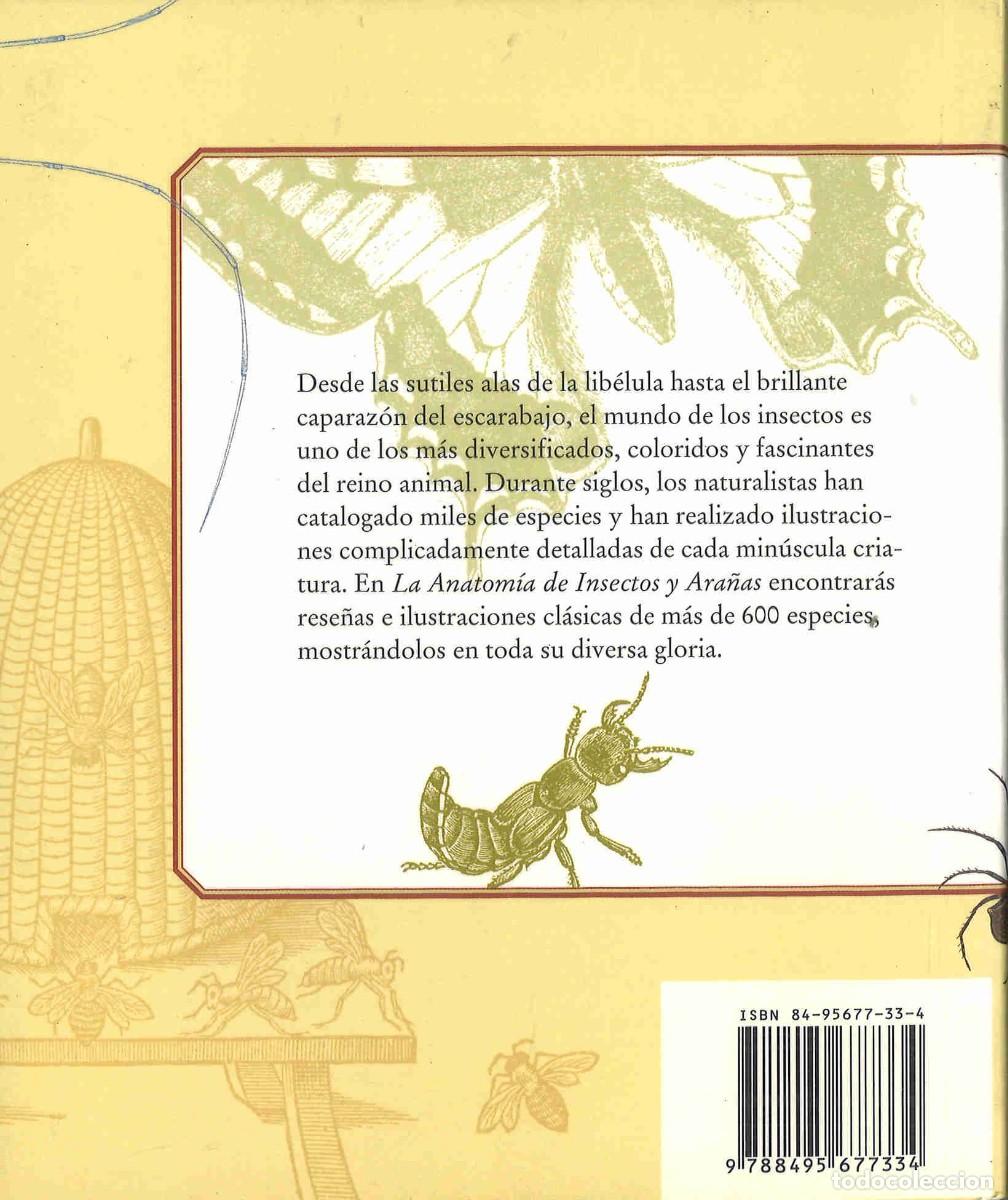 Libros de segunda mano: La anatom&iacute;a de insectos y ara&ntilde;as. 2003 - Foto 2