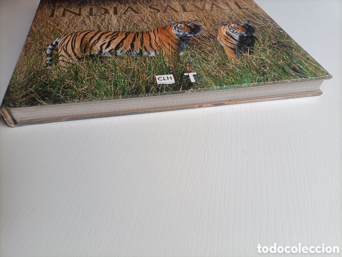 Libros de segunda mano: India salvaje . Axel Gomille - Foto 3