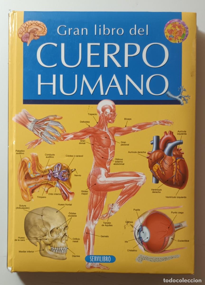 Libros de segunda mano: GRAN LIBRO DEL CUERPO HUMANO - SUSAETA - Foto 1