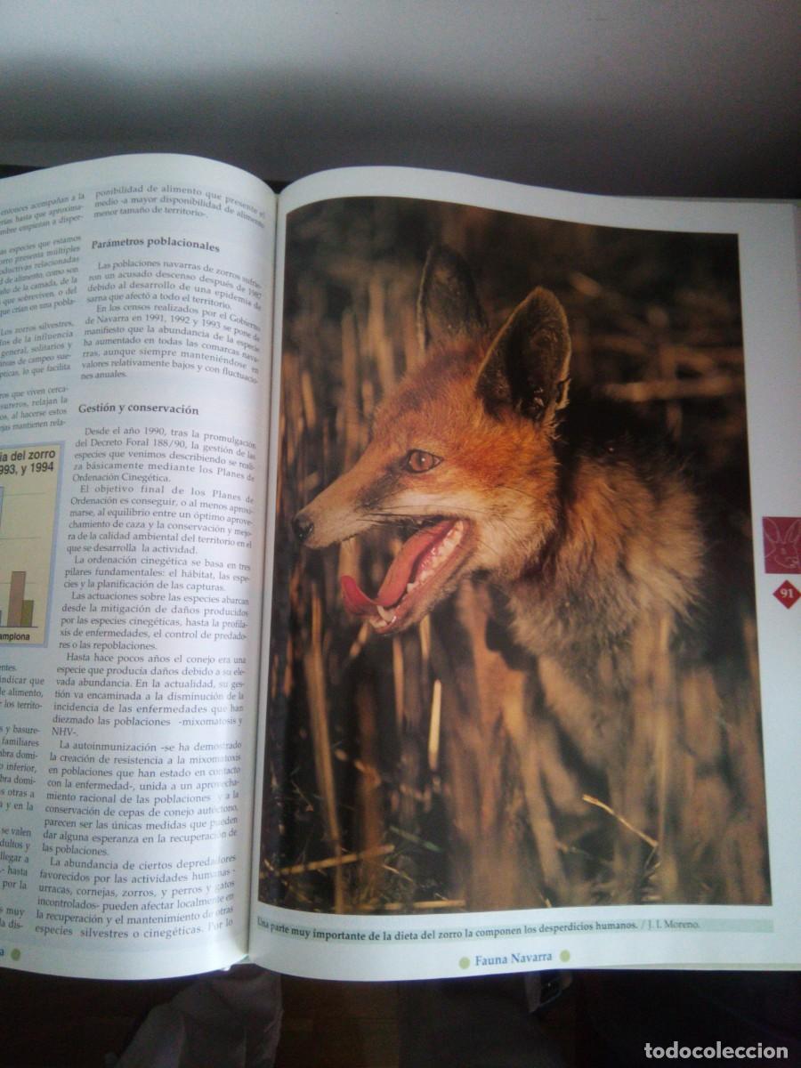 Libros de segunda mano: Fauna Navarra - Foto 2