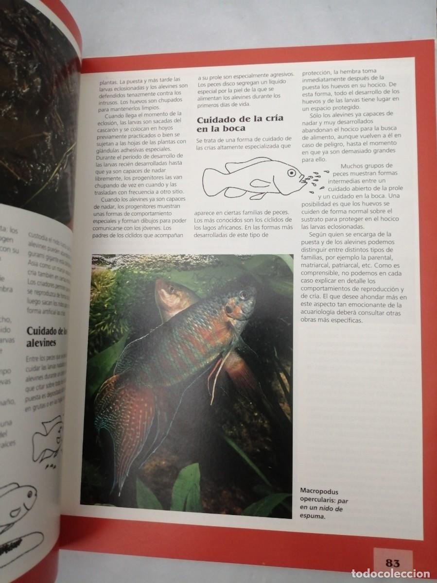 Libros de segunda mano: El libro del acuario (Primera edici&oacute;n, tapa dura) - Foto 3