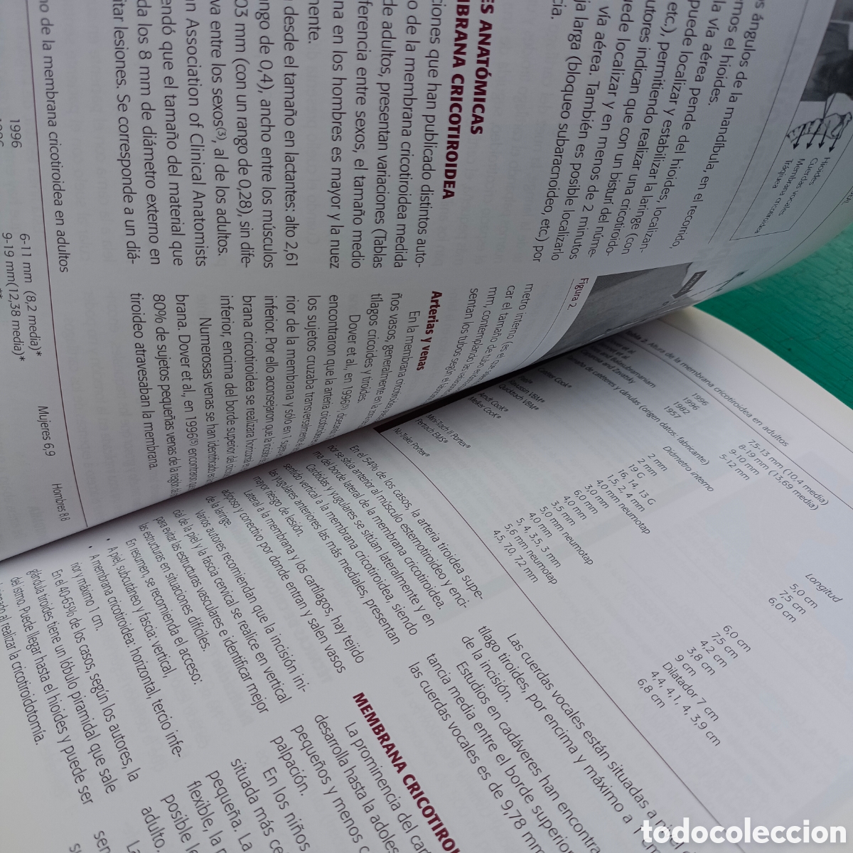 Libros de segunda mano: Manual de manejo de la v&iacute;a aerea Mar&iacute;a rull Crist&oacute;bal a&ntilde;ez - Foto 3