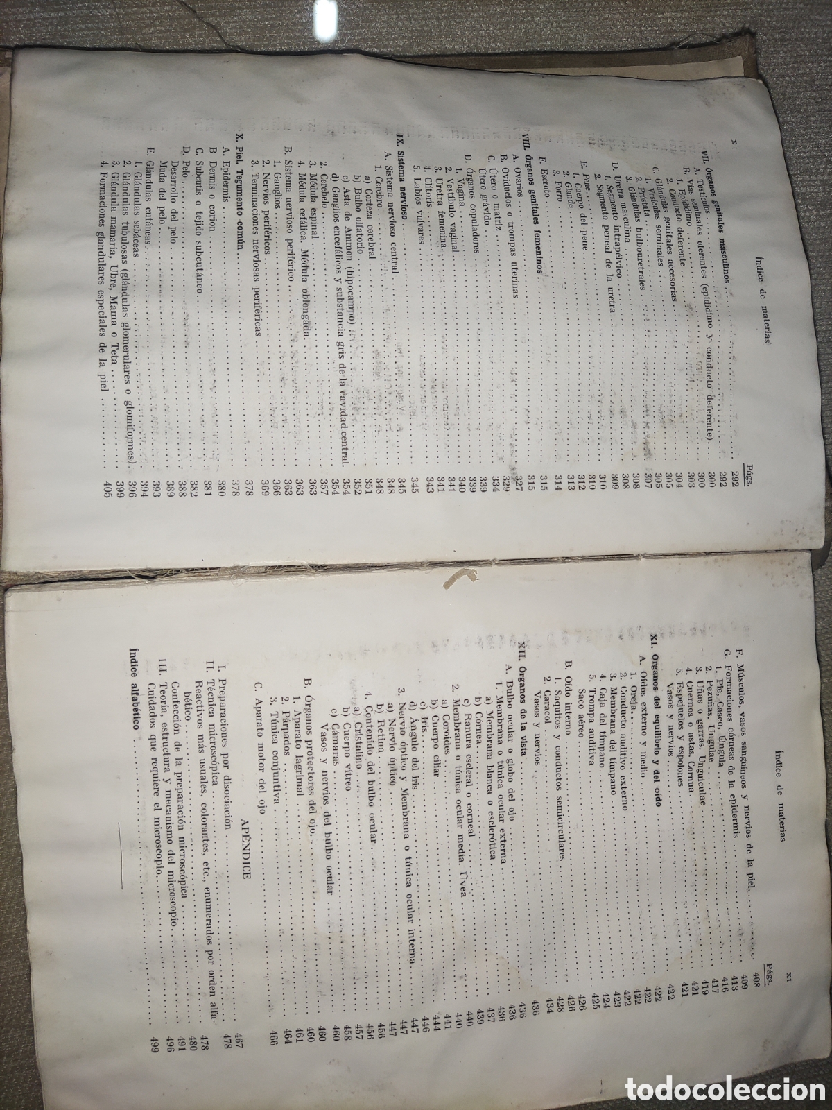 Libros de segunda mano: Histolog&iacute;a y Anatom&iacute;a Comparada.... - Foto 6