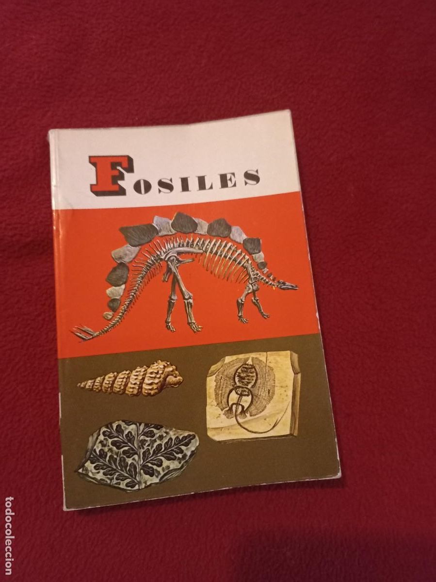 Libros de segunda mano: FOSILES - PEQUE&Ntilde;A BIBLIOTECA DAIMON 114 - ED. DAIMON - RUSTICA - Foto 1