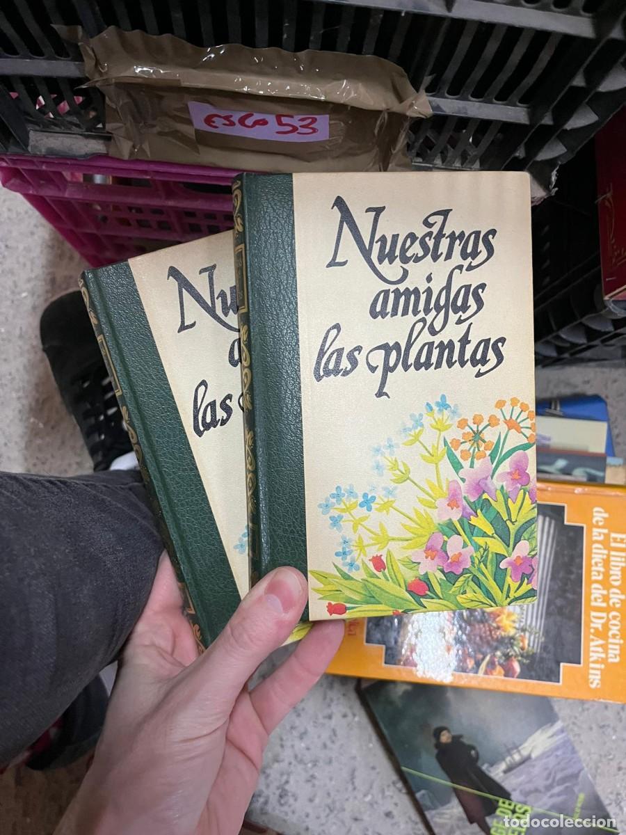 Libros de segunda mano: ESCO53 nuestras amigas las plantas, dos tomos, completa - Foto 1