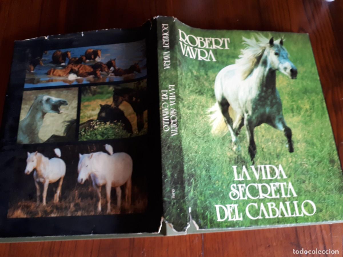 Libros de segunda mano: La vida secreta del caballo.-ROBERT VAVRA. - Foto 2