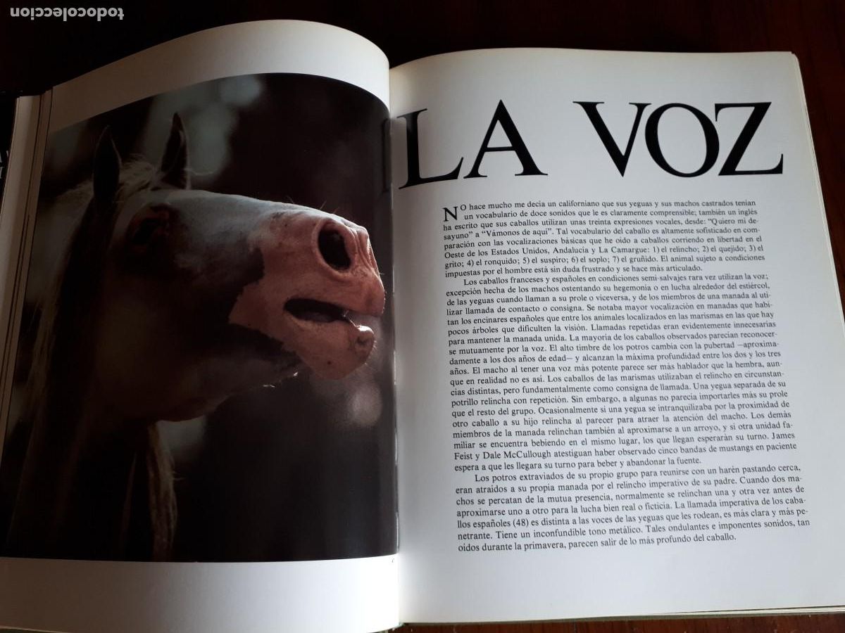 Libros de segunda mano: La vida secreta del caballo.-ROBERT VAVRA. - Foto 4