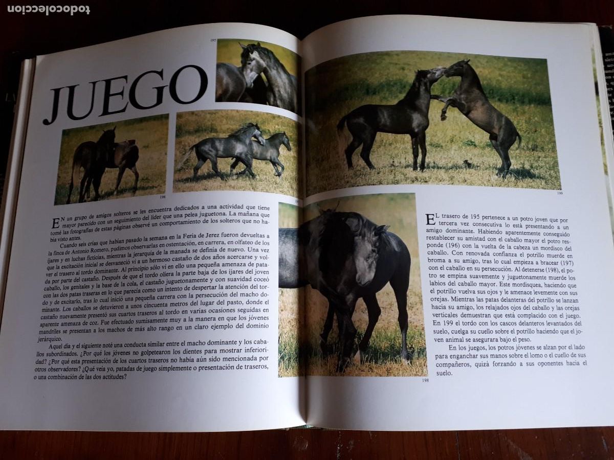 Libros de segunda mano: La vida secreta del caballo.-ROBERT VAVRA. - Foto 5