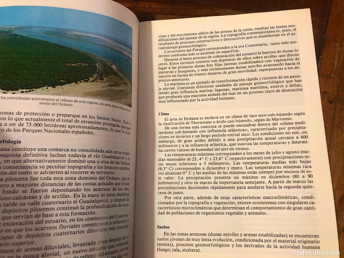 Libros de segunda mano: PARQUE NACIONAL DE DO&Ntilde;ANA, MAPA ECOLOGICO 1979 - Foto 7