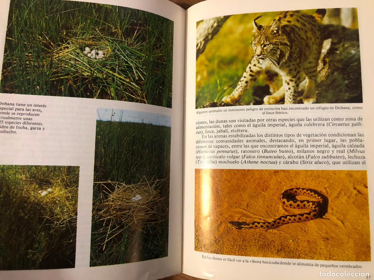 Libros de segunda mano: PARQUE NACIONAL DE DO&Ntilde;ANA, MAPA ECOLOGICO 1979 - Foto 8