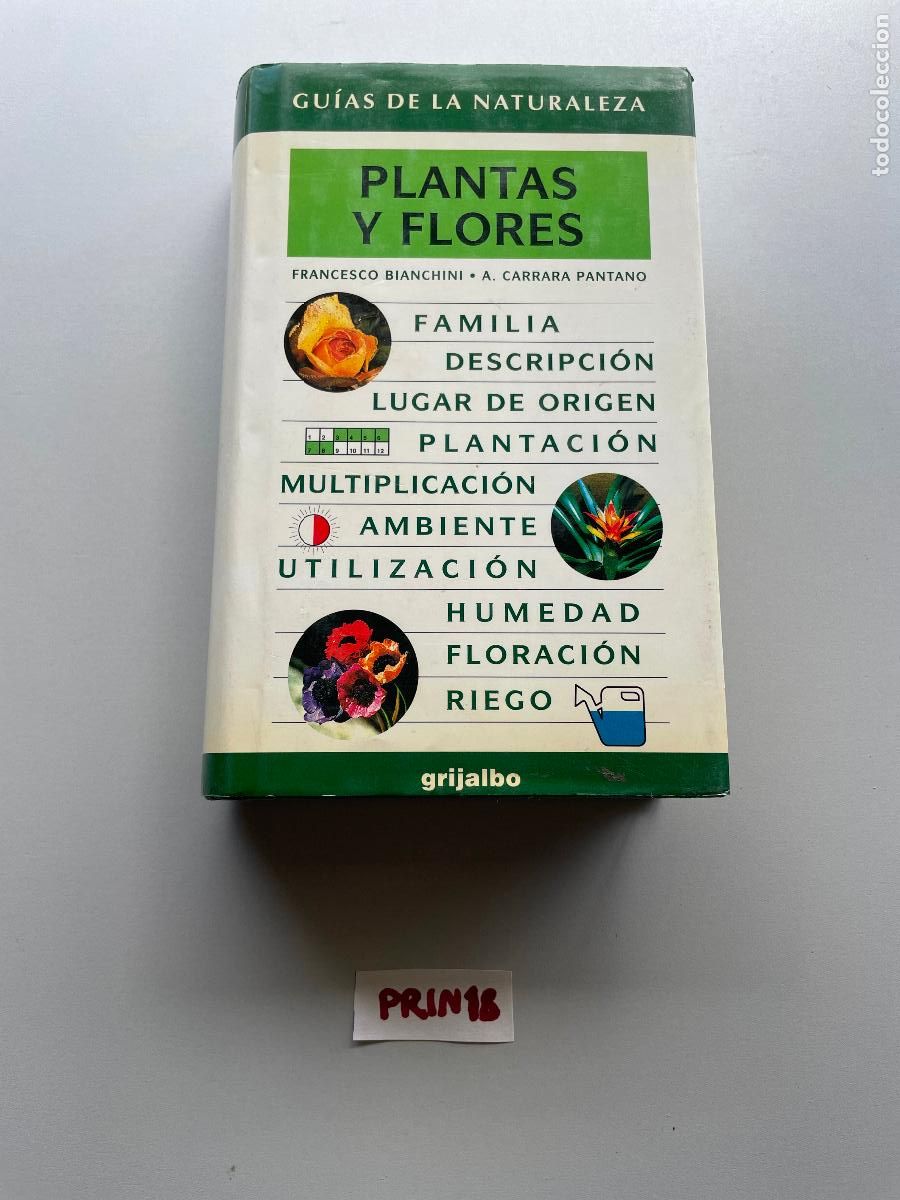 Libros de segunda mano: Plantas y flores - Foto 1
