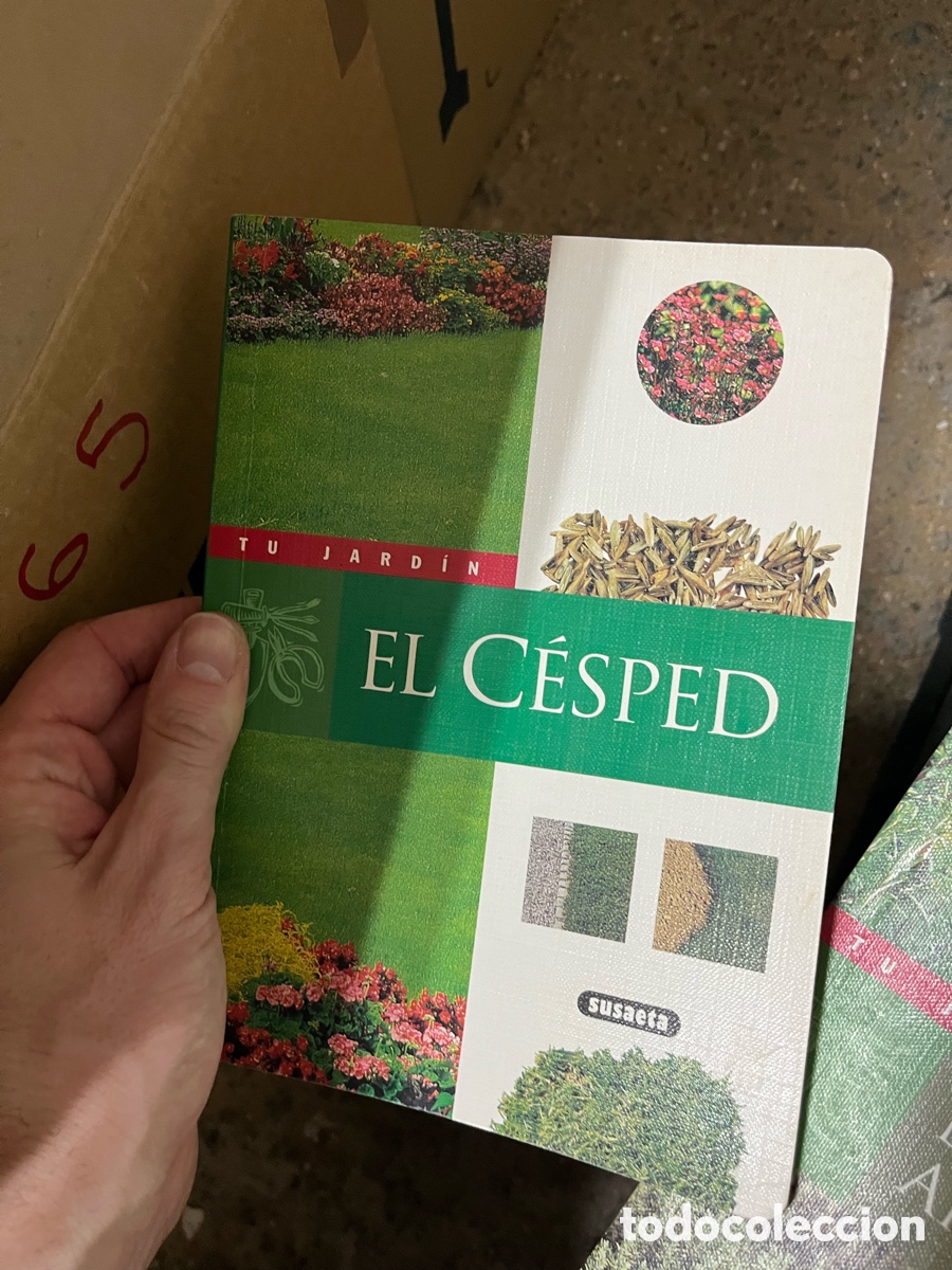 Libros de segunda mano: Caja65 EL C&Eacute;SPED susaeta - Foto 1