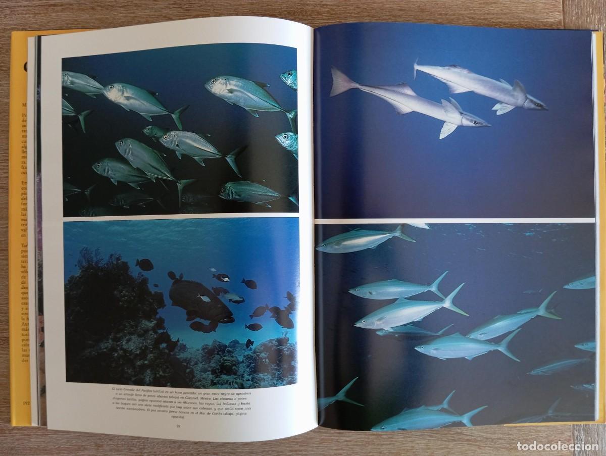 Libros de segunda mano: OCEANO BAJO LOS MARES DE CRISTAL - VIC COX - Foto 2