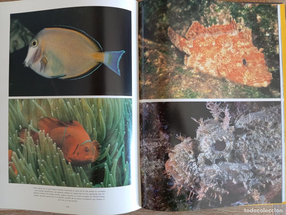 Libros de segunda mano: OCEANO BAJO LOS MARES DE CRISTAL - VIC COX - Foto 3