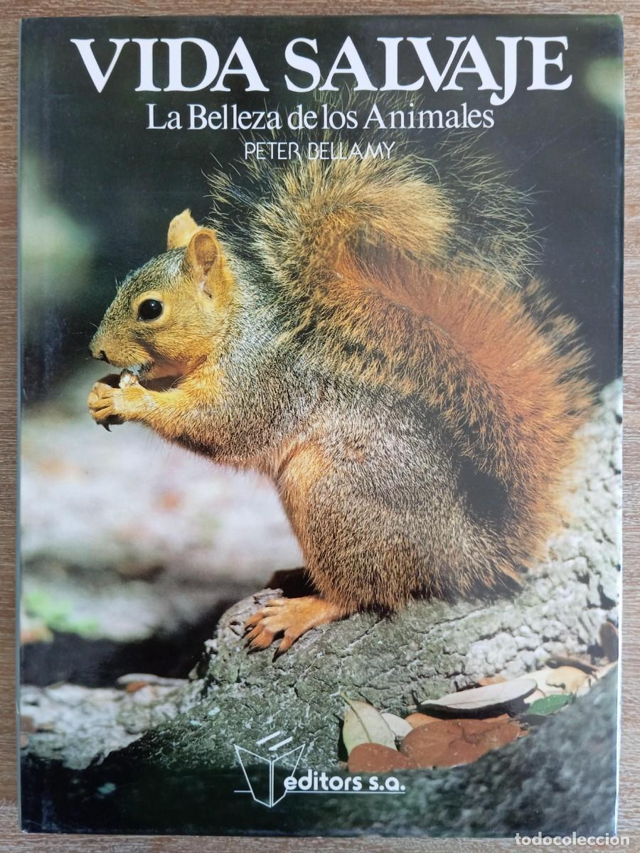 Libros de segunda mano: VIDA SALVAJE LA BELLEZA DE LOS ANIMALES - PETER BELLAMY - Foto 1
