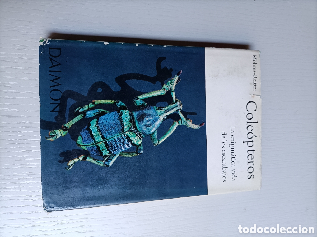 Libros de segunda mano: Cole&oacute;pteros. La enigm&aacute;tica vida de los escarabajos - Foto 2