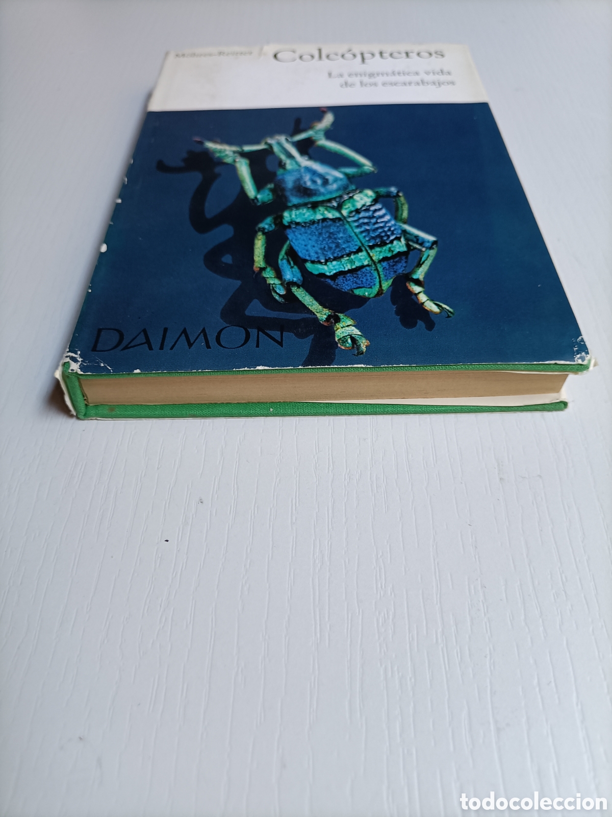 Libros de segunda mano: Cole&oacute;pteros. La enigm&aacute;tica vida de los escarabajos - Foto 3