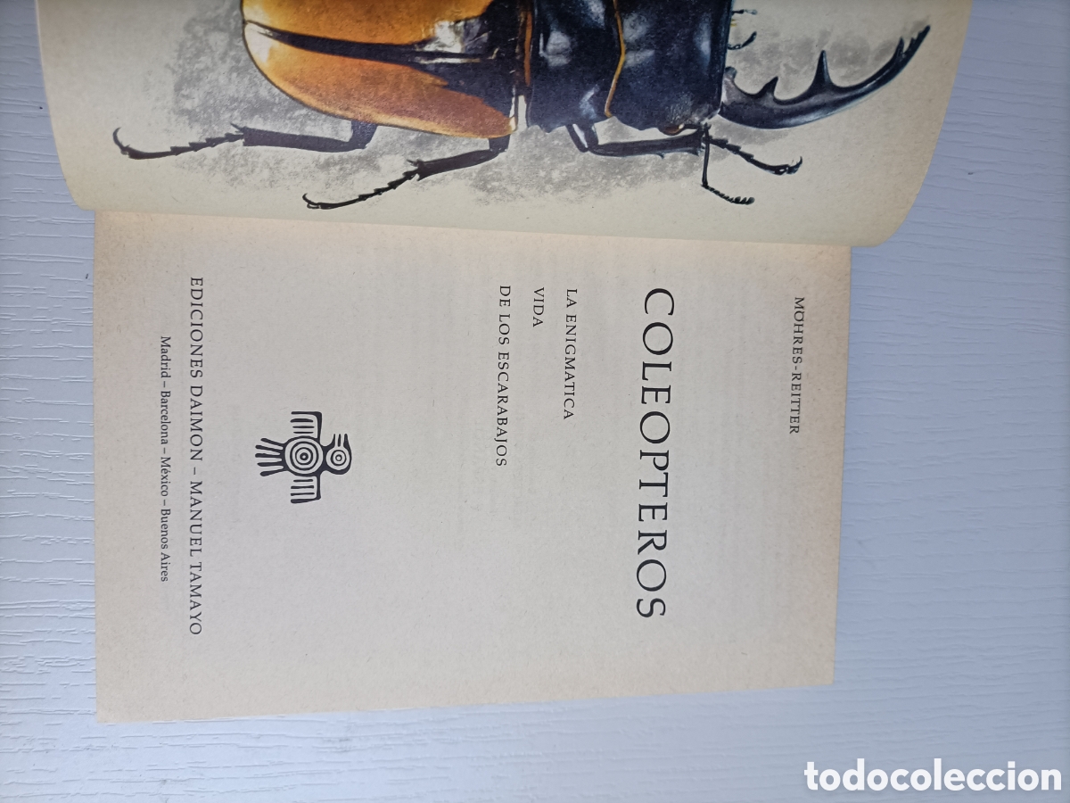Libros de segunda mano: Cole&oacute;pteros. La enigm&aacute;tica vida de los escarabajos - Foto 7