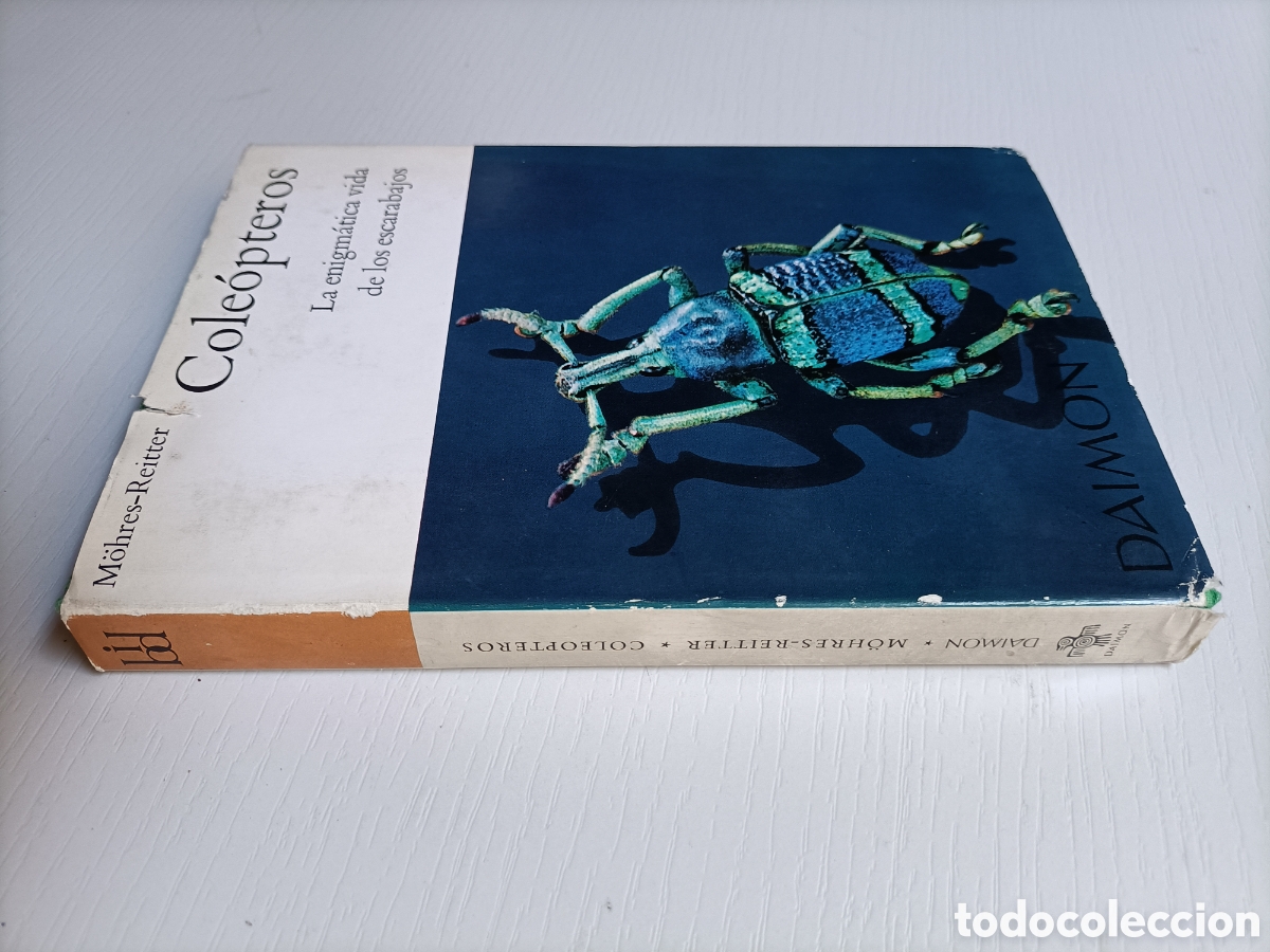 Libros de segunda mano: Cole&oacute;pteros. La enigm&aacute;tica vida de los escarabajos - Foto 1