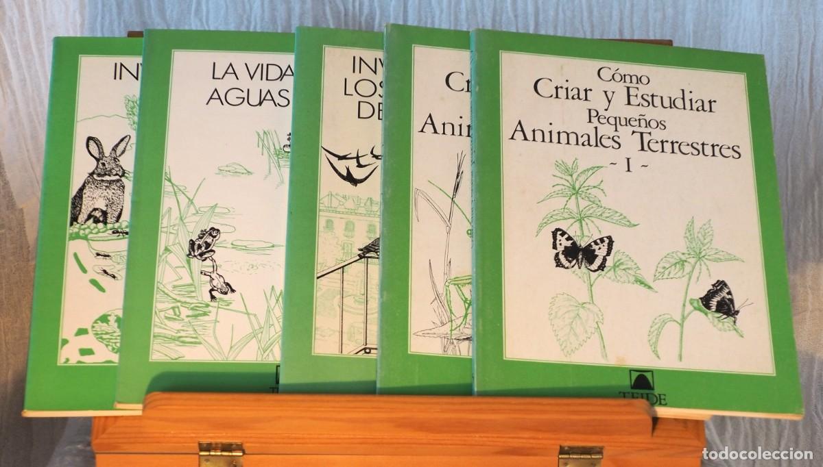 Libros de segunda mano: Libros colecci&oacute;n vivac. Investigaci&oacute;n del medio - Foto 1