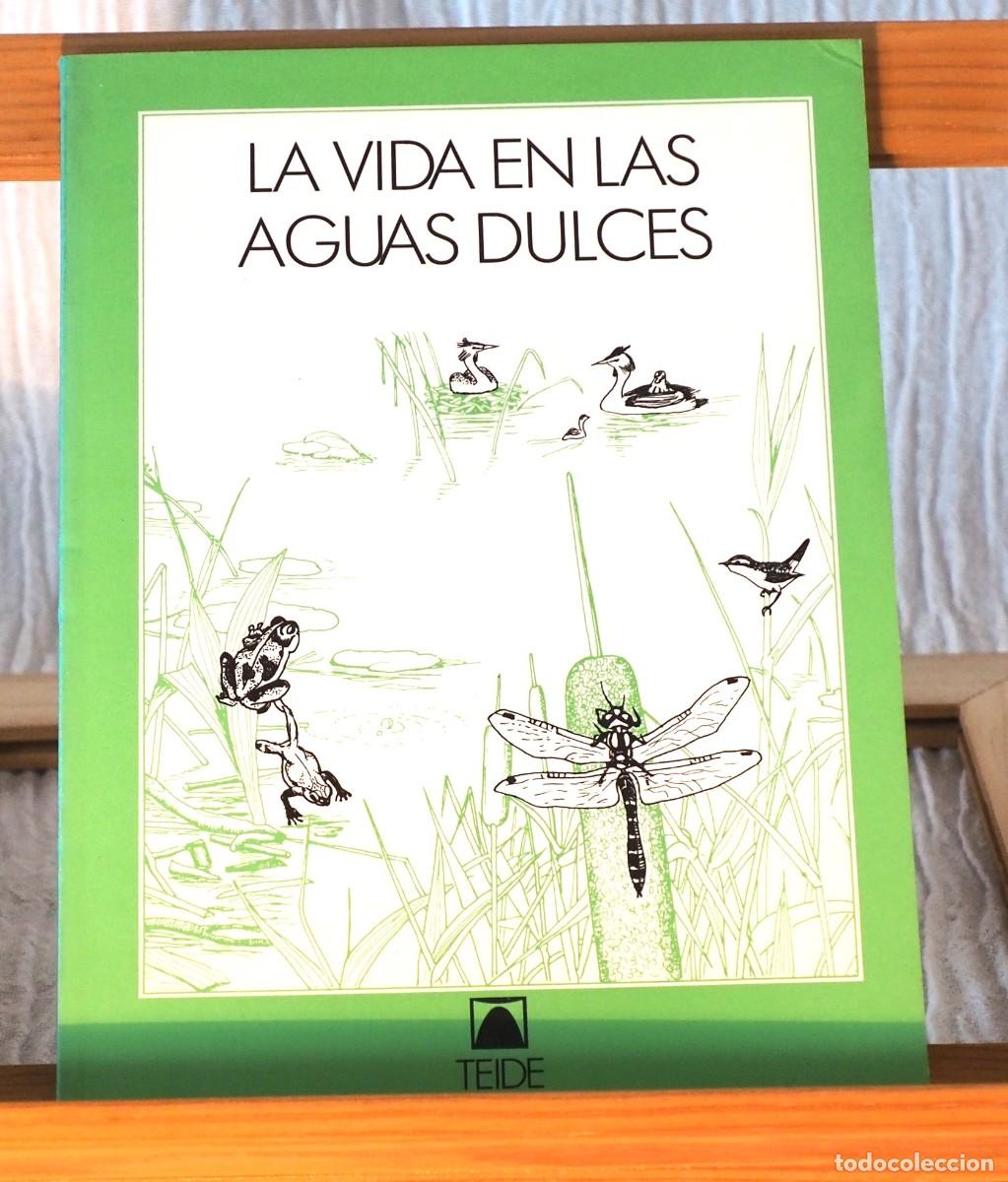 Libros de segunda mano: Libros colecci&oacute;n vivac. Investigaci&oacute;n del medio - Foto 4