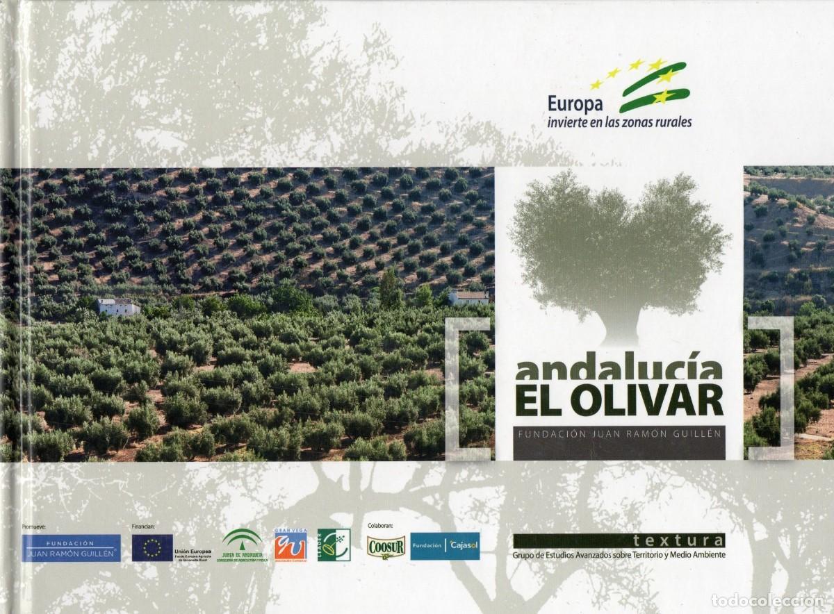 Libros de segunda mano: ANDALUCIA EL OLIVAR. GYA-075 - Foto 1
