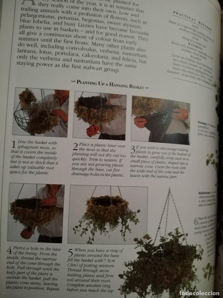 Libros de segunda mano: CONTAINER GARDENING - Foto 13