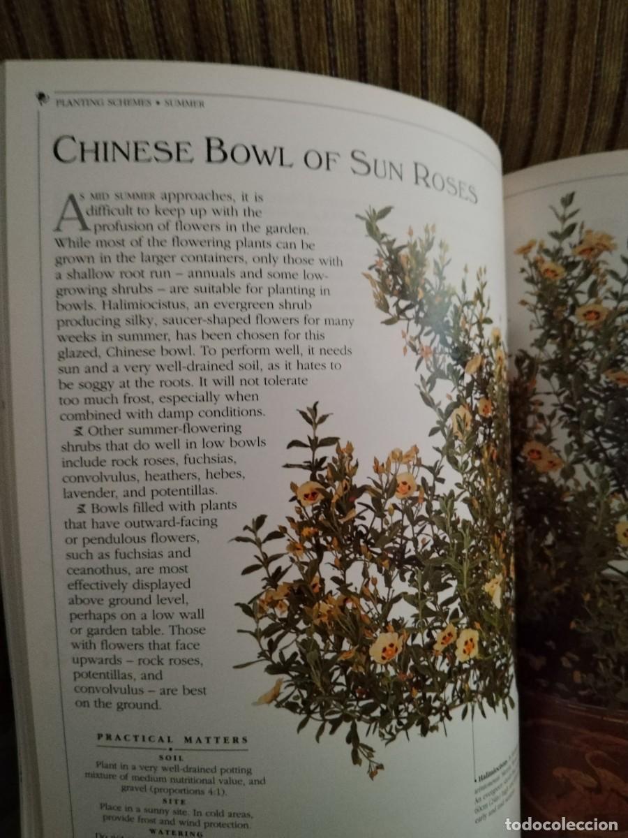 Libros de segunda mano: CONTAINER GARDENING - Foto 14