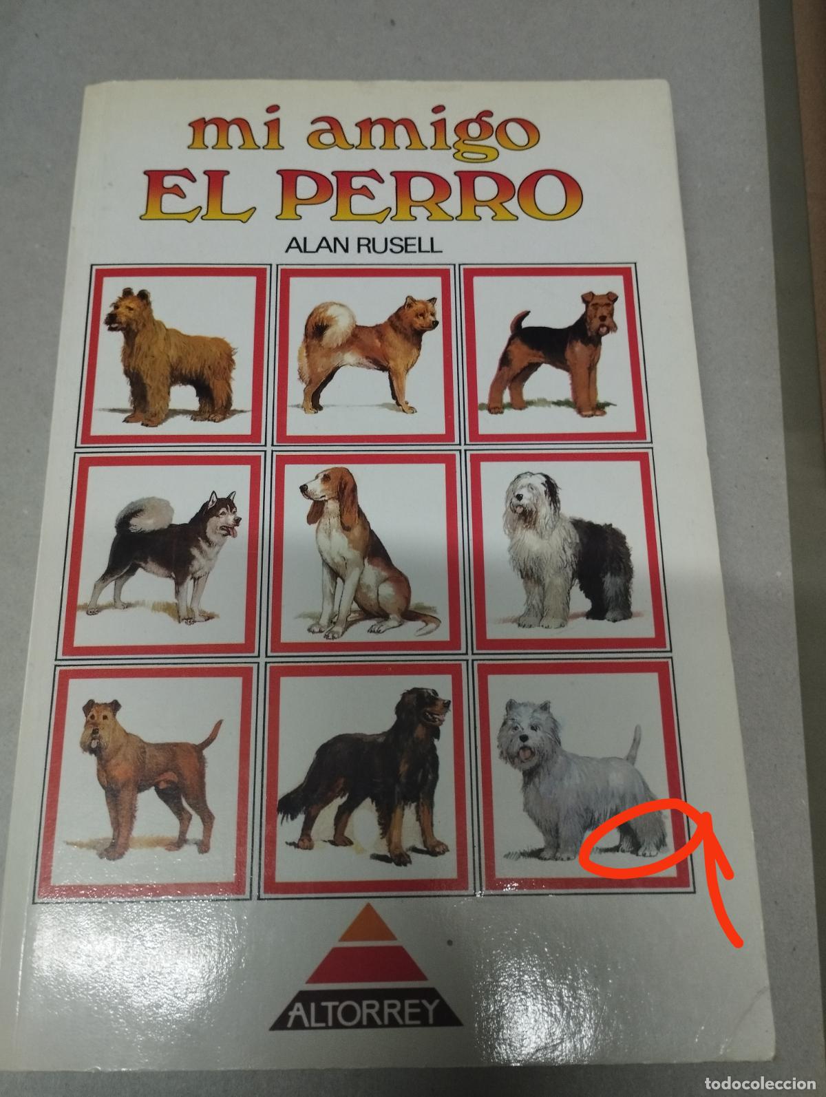 Libros de segunda mano: MI AMIGO EL PERRO - ALAN RUSELL - Foto 1