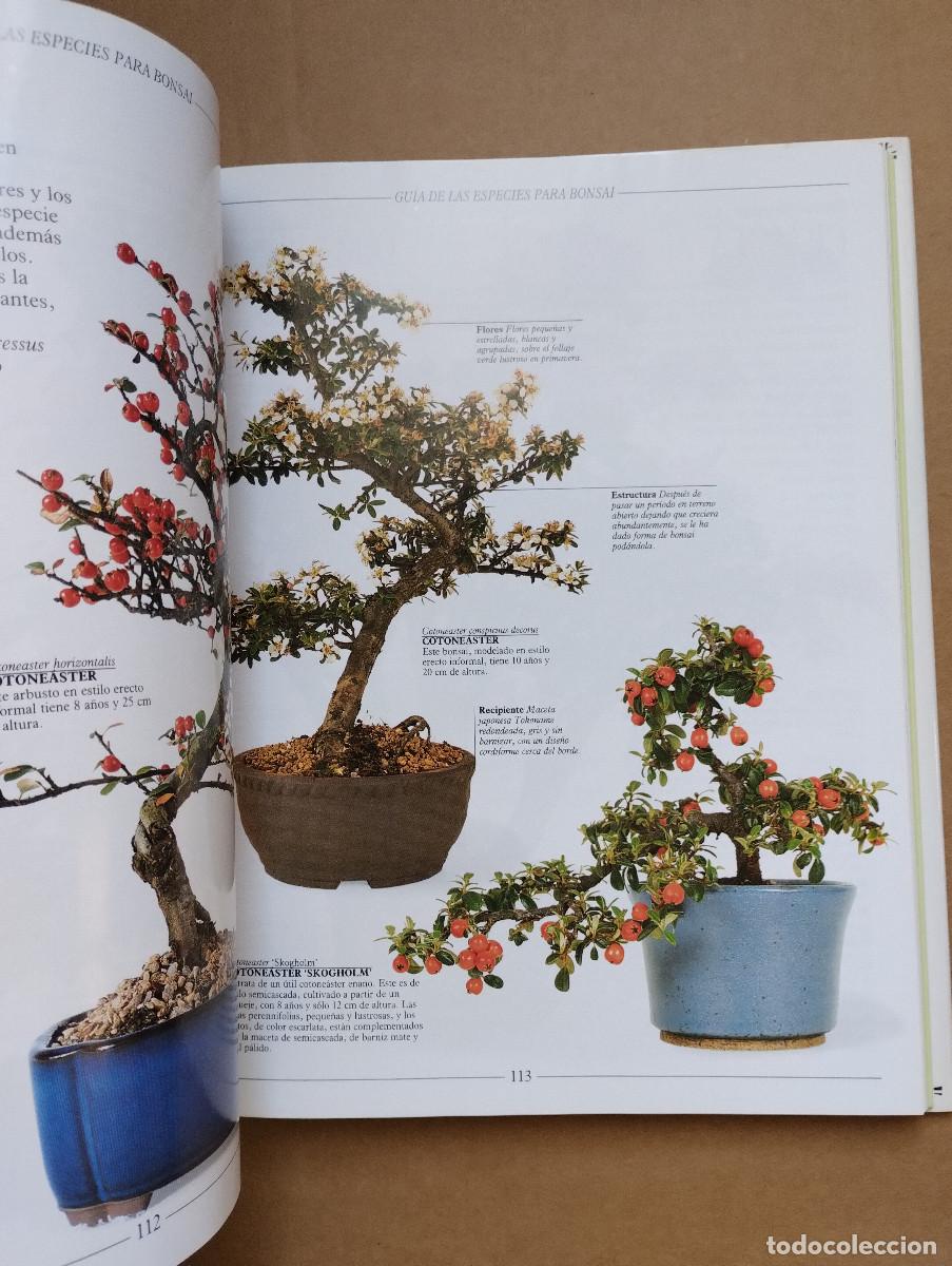 Libros de segunda mano: BONSAI, TRATADO PRACTICO - HARRY TOMLINSON - OMEGA - 2003 - Foto 5