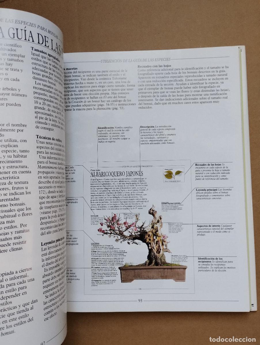 Libros de segunda mano: BONSAI, TRATADO PRACTICO - HARRY TOMLINSON - OMEGA - 2003 - Foto 6