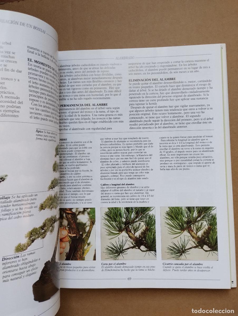 Libros de segunda mano: BONSAI, TRATADO PRACTICO - HARRY TOMLINSON - OMEGA - 2003 - Foto 7