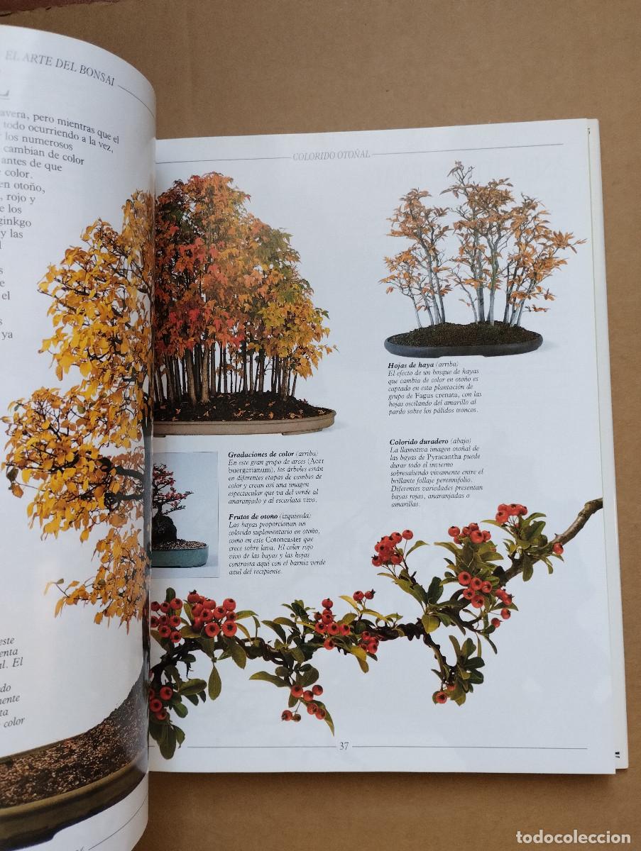 Libros de segunda mano: BONSAI, TRATADO PRACTICO - HARRY TOMLINSON - OMEGA - 2003 - Foto 8
