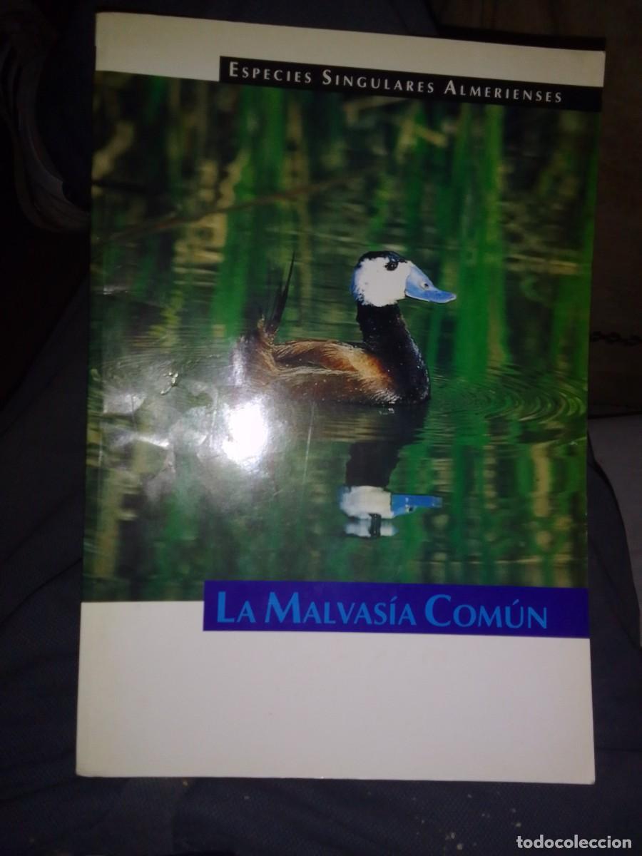 Libros de segunda mano: Libro la malvasia comun especies singulares almerienses - Foto 1