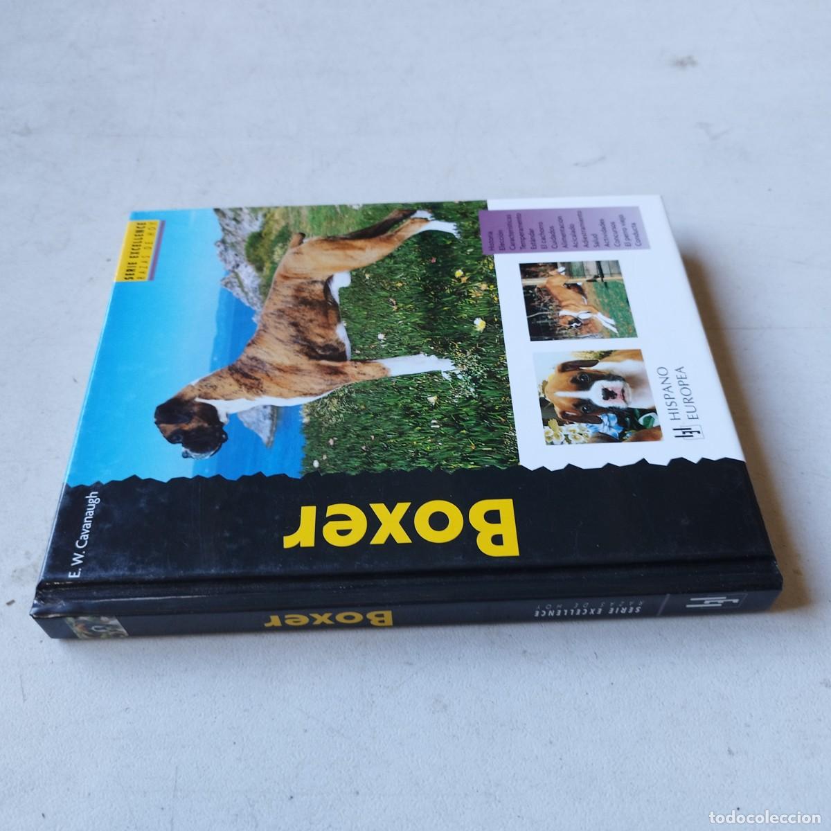Libros de segunda mano: BOXER / / GRAVOL 50 / HISPANO EUROPEA - Foto 1