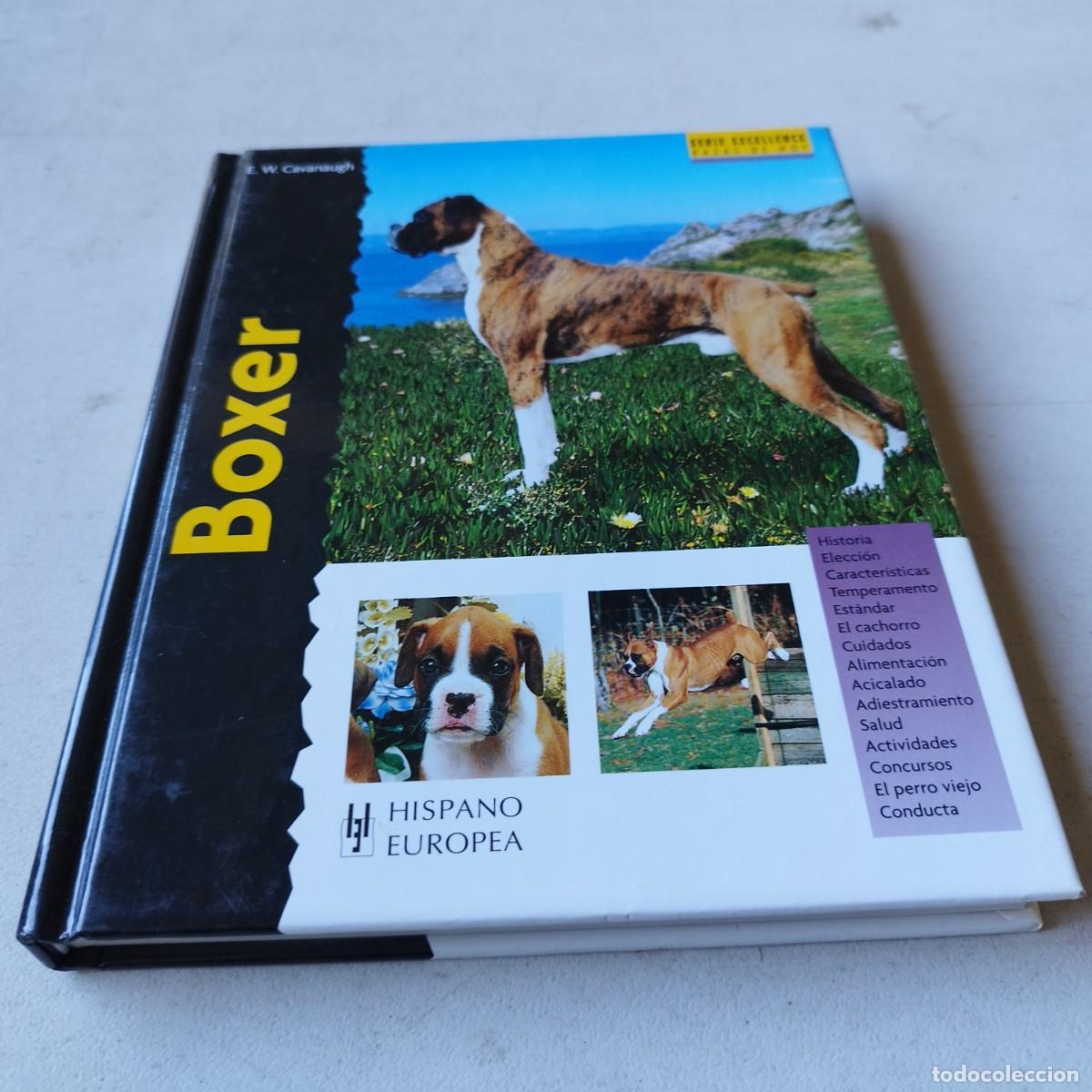 Libros de segunda mano: BOXER / / GRAVOL 50 / HISPANO EUROPEA - Foto 2
