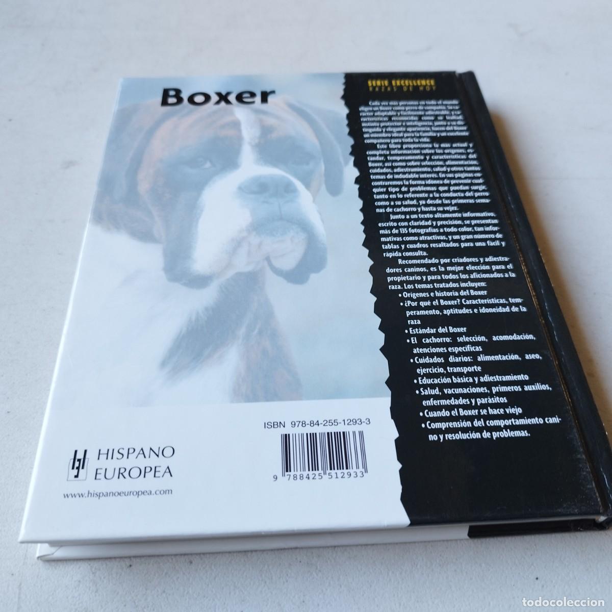 Libros de segunda mano: BOXER / / GRAVOL 50 / HISPANO EUROPEA - Foto 3