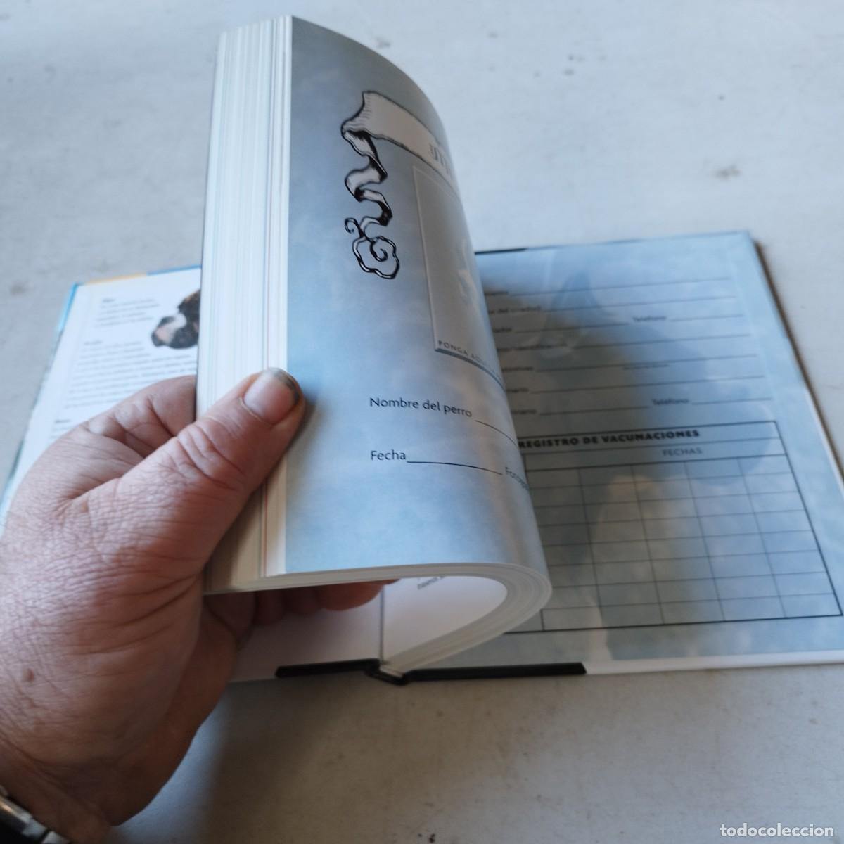 Libros de segunda mano: BOXER / / GRAVOL 50 / HISPANO EUROPEA - Foto 7