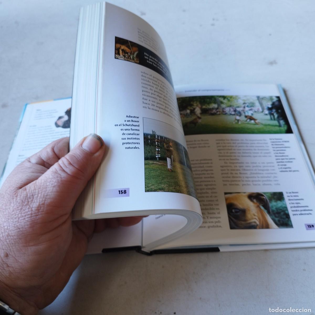 Libros de segunda mano: BOXER / / GRAVOL 50 / HISPANO EUROPEA - Foto 8