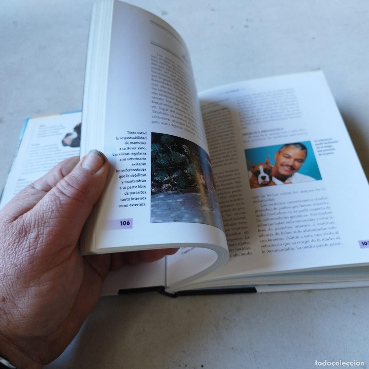 Libros de segunda mano: BOXER / / GRAVOL 50 / HISPANO EUROPEA - Foto 10