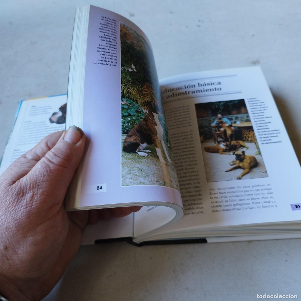 Libros de segunda mano: BOXER / / GRAVOL 50 / HISPANO EUROPEA - Foto 11
