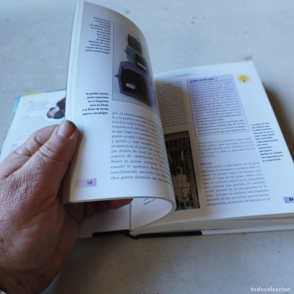 Libros de segunda mano: BOXER / / GRAVOL 50 / HISPANO EUROPEA - Foto 12